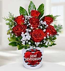 7 Red Roses in a Ceramic