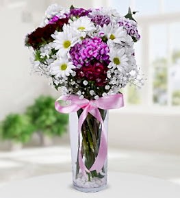 Daisy and Sweetwilliams