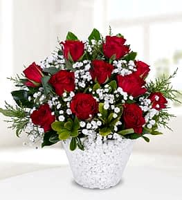 Red Roses in Conical Vase