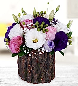 Colourful Lisianthus in Log