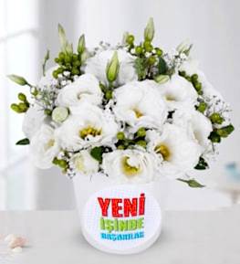 Lisiants With A New Business Achievement Theme