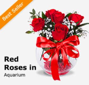 Red Roses in Aquarium